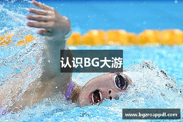 认识BG大游